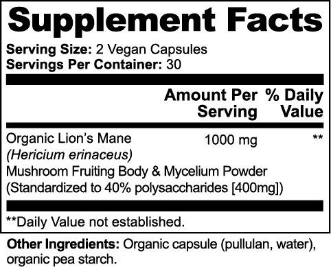 MARHDI SYNAPSE – The Mental Engine: Built for Clarity, Focus, and Flow.